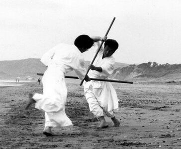 Photo Bojutsu kumite sur la plage